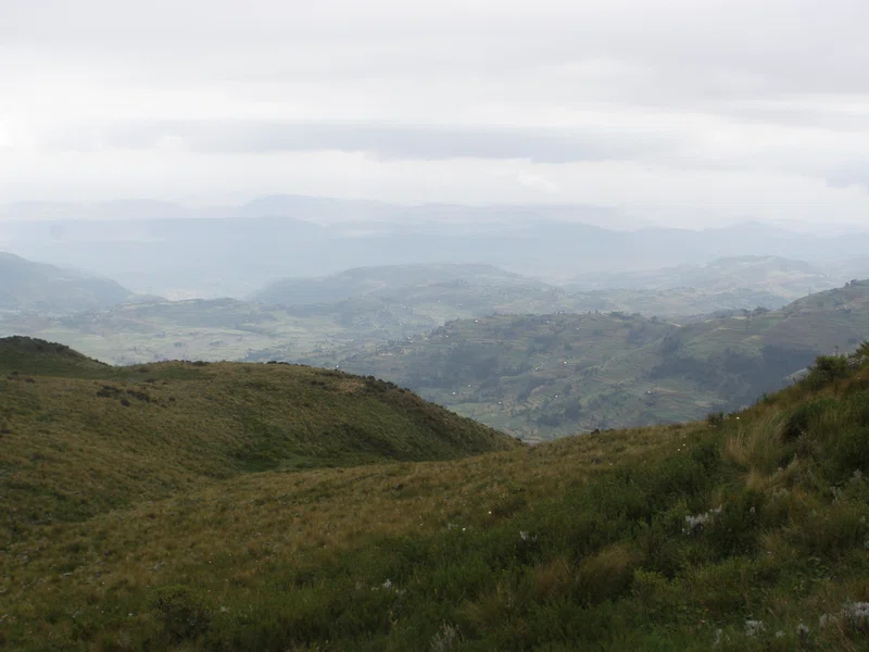 Guassa Community Conservation Area 2