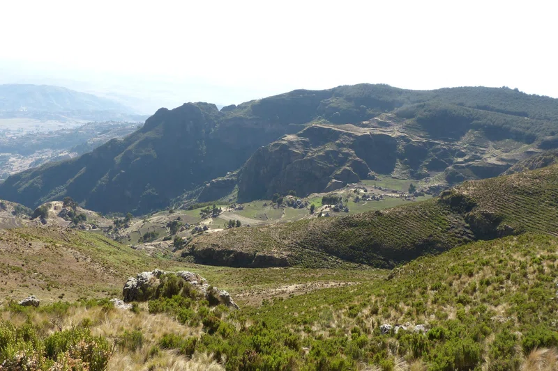 Guassa Community Conservation Area 3