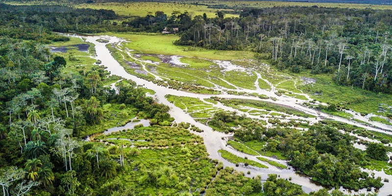 Kwamkoro Forest Reserve 2