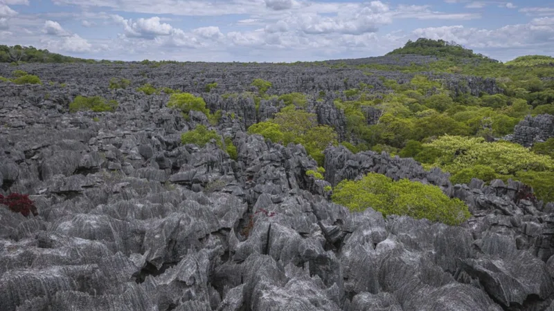 Ankarana National Park 4
