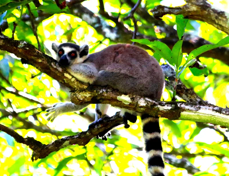 Nahampoana Reserve 4