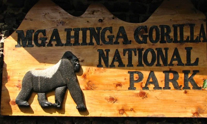 Tanikely National Park 3