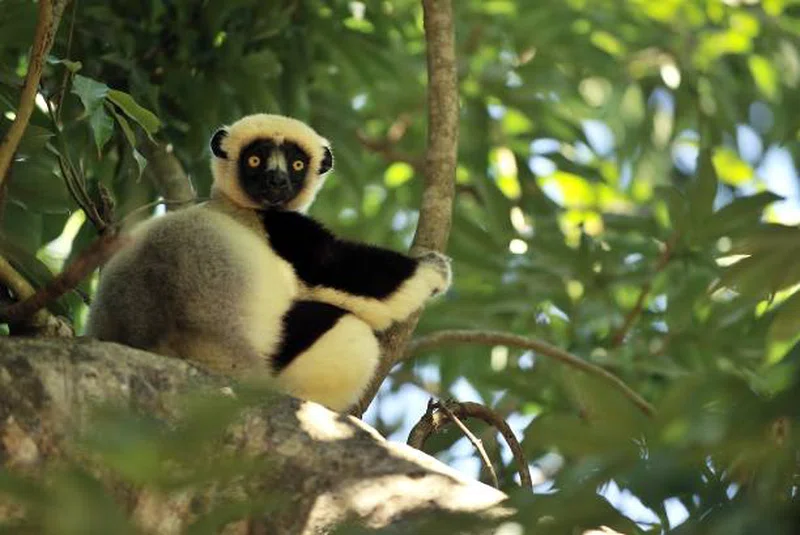 Tanikely National Park 5