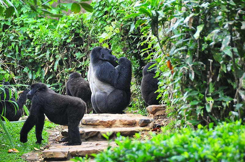 Tanikely National Park 4