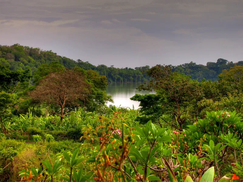 Lake Duluti Forest Reserve 3