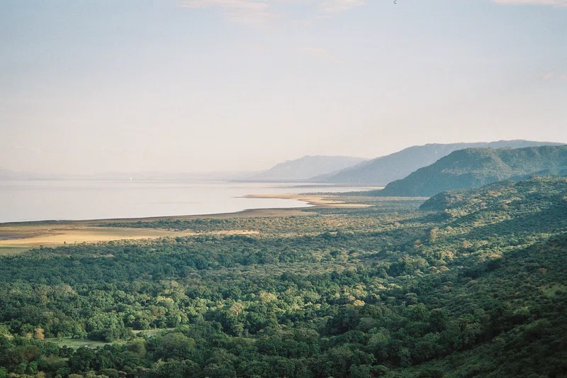 Lake Duluti Forest Reserve 2