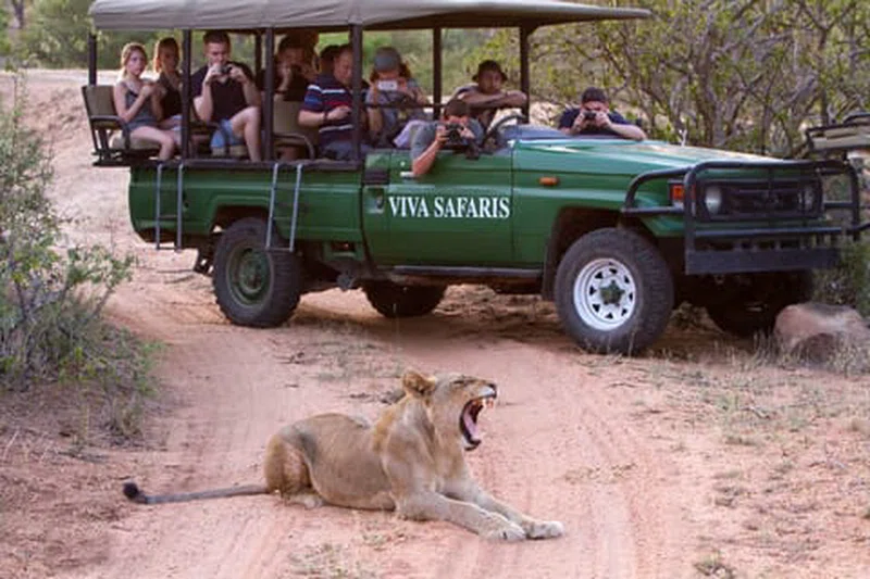 Bothongo Rhino & Lion Nature Reserve 2