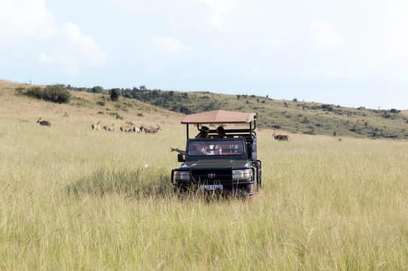 Bothongo Rhino & Lion Nature Reserve 3