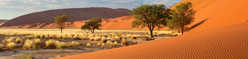 Sossusvlei, Namib-Naukluft National Park 3