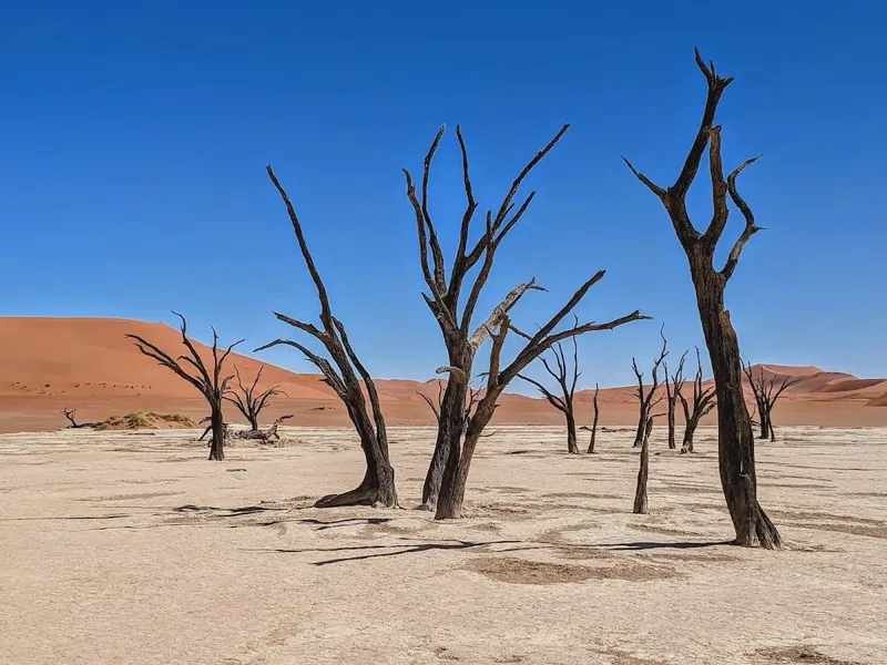 Sossusvlei, Namib-Naukluft National Park 2