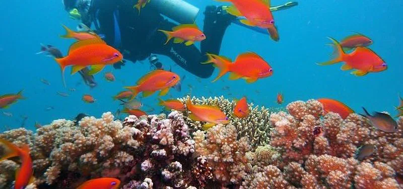 Kisite National Marine Park 5