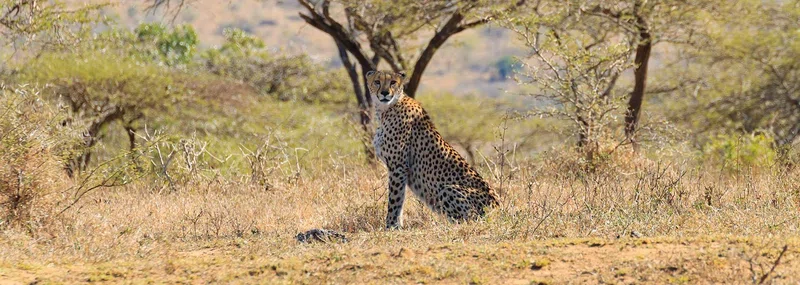 Hluhluwe Game Reserve 3