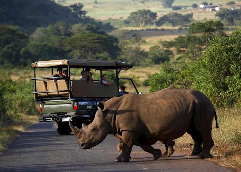 Hluhluwe Game Reserve 4