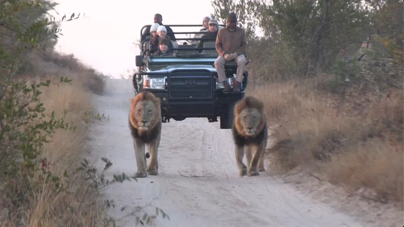 Klaserie Game Reserve 2