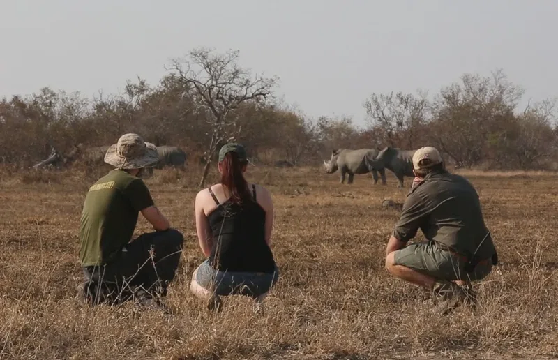 Klaserie Game Reserve 3
