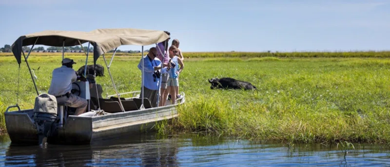 Chobe River, Chobe National Park 2