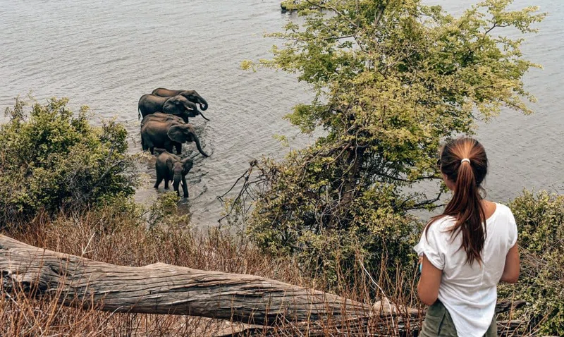 Chobe River, Chobe National Park 4