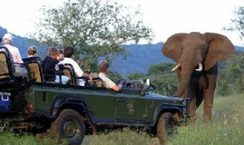 Mkuzi Game Reserve 3