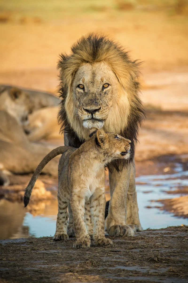 Botswana 5
