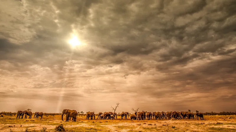 Botswana 4