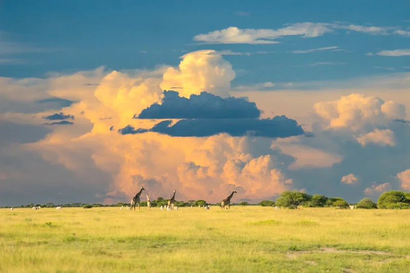 Botswana 3