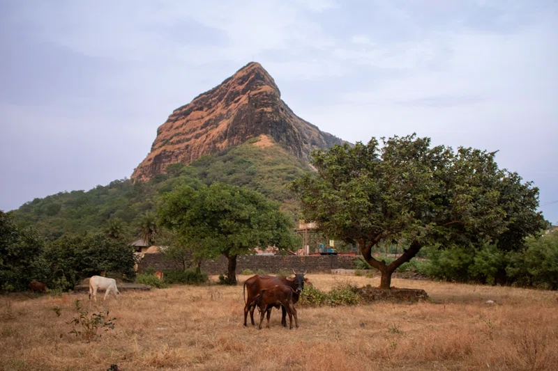 Burkina Faso 4