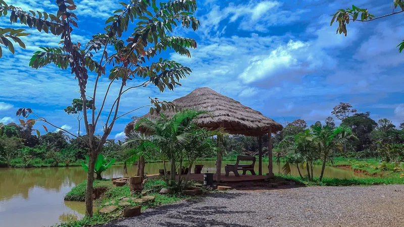 Cameroon 5