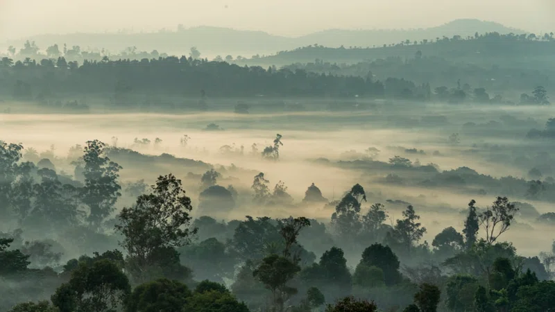 Cameroon 2