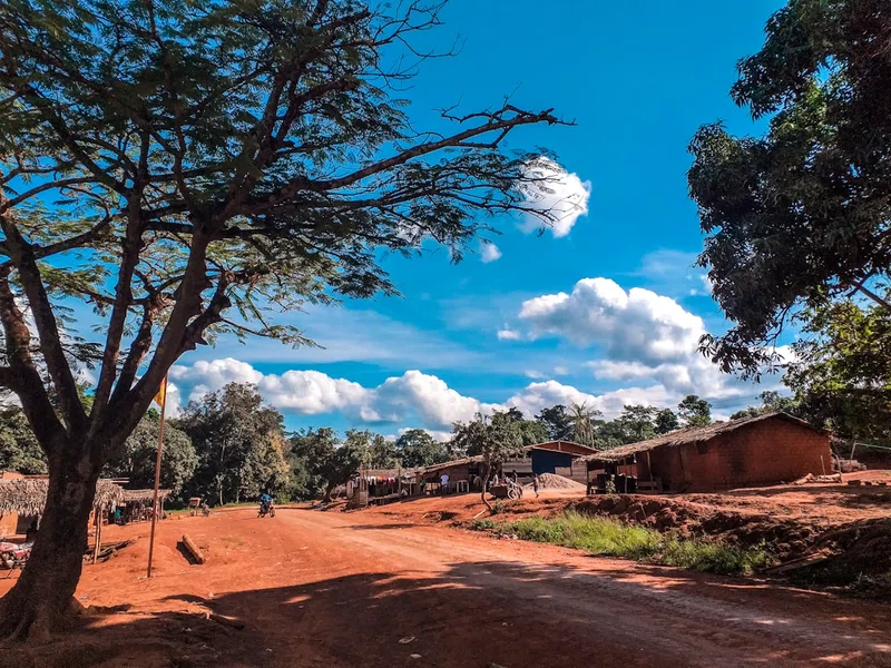 Cameroon 4