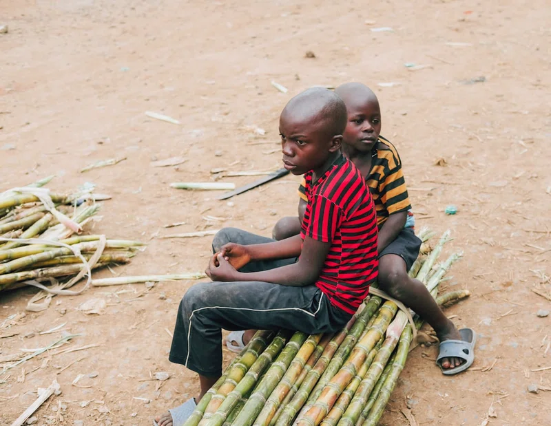 Congo, Democratic Republic of the 4