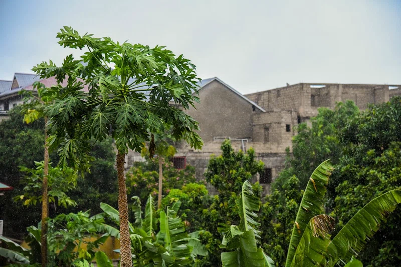 Congo, Democratic Republic of the 2