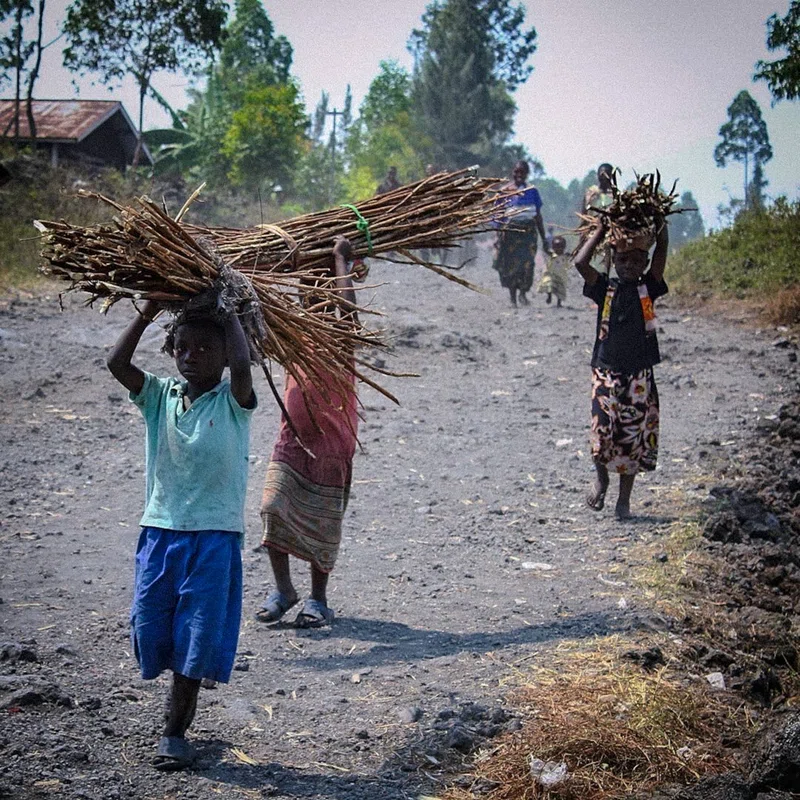 Congo, Democratic Republic of the 3
