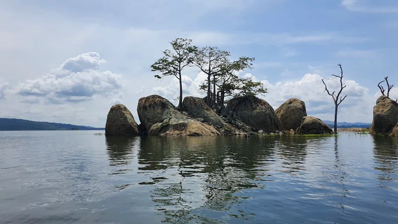 Cote d'Ivoire 2