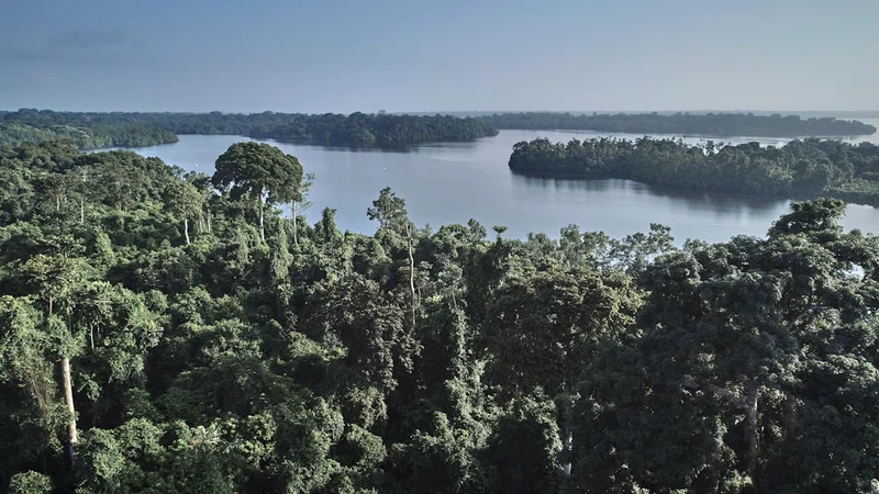 Gabon 4