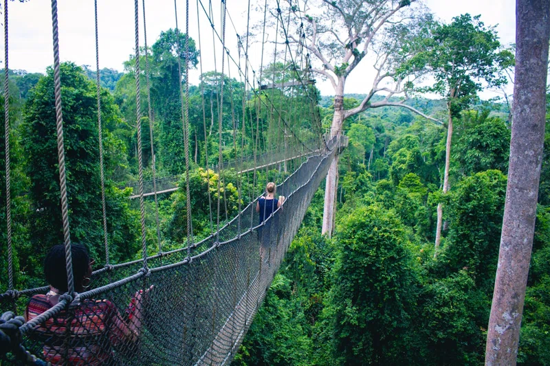 Ghana 5