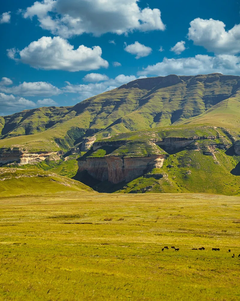 Lesotho 4