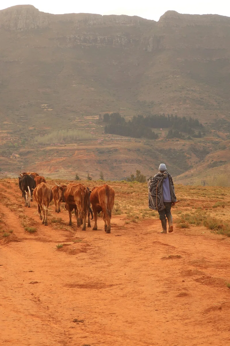 Lesotho 3
