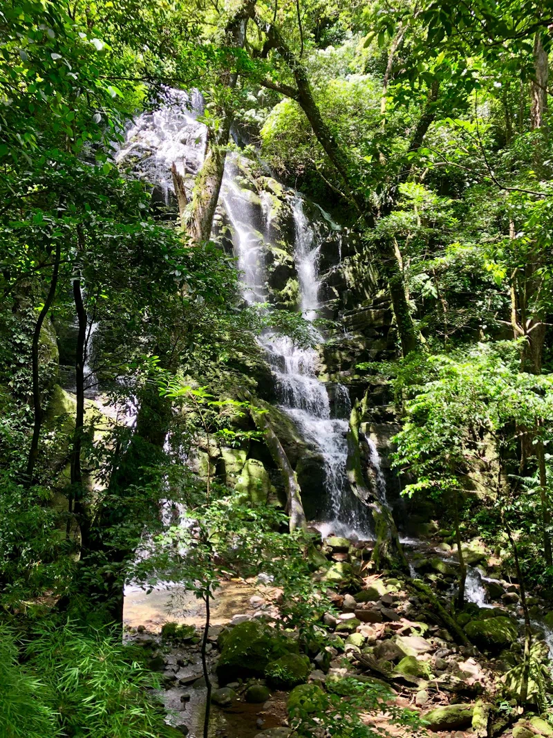 Liberia 3