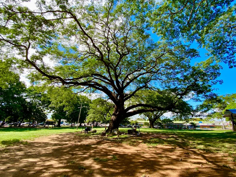 Liberia 4
