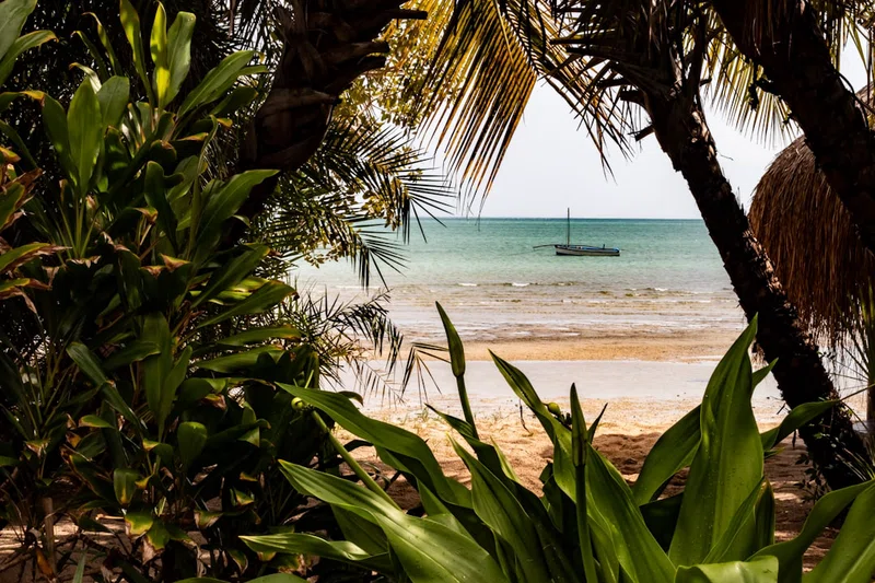 Mozambique 5