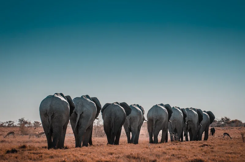Namibia 5