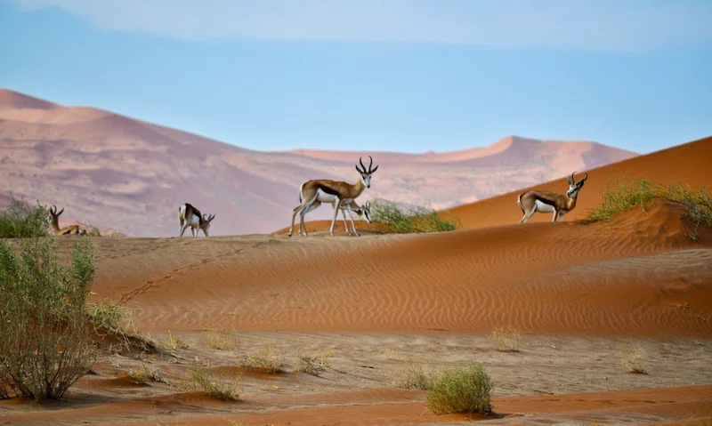 Namibia 3