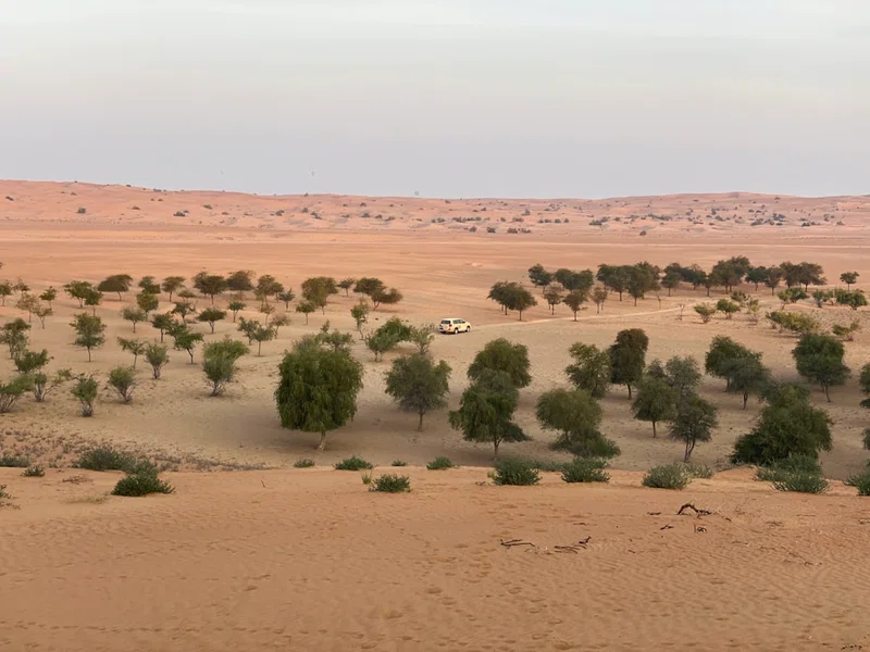 Niger 4