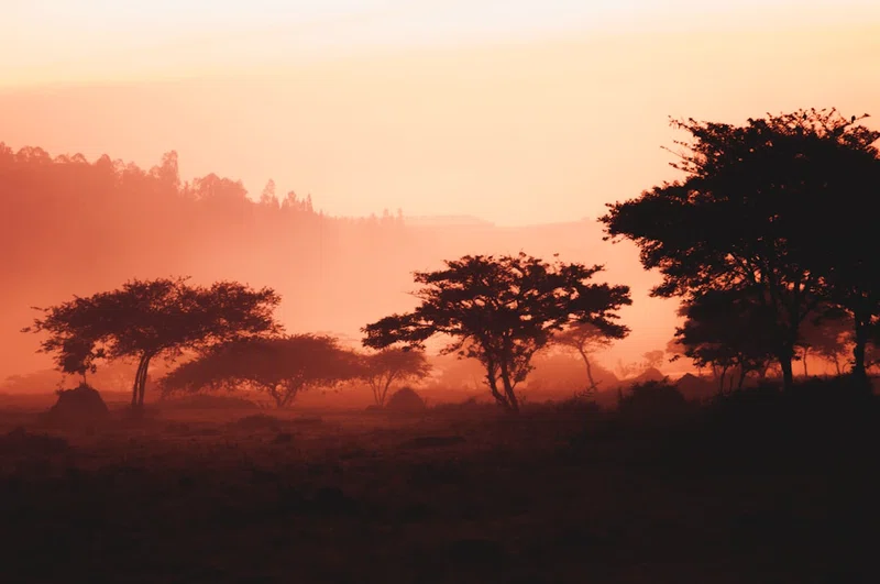 Rwanda 2