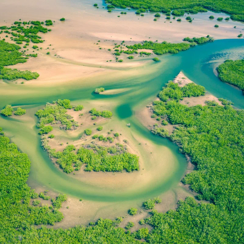 Senegal 4
