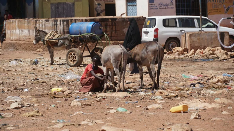 Somalia 5