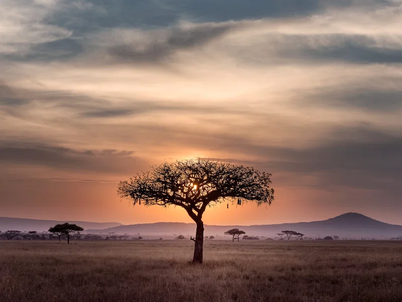 South Africa 5