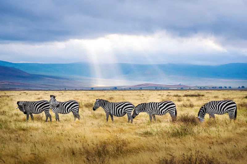 Tanzania 4