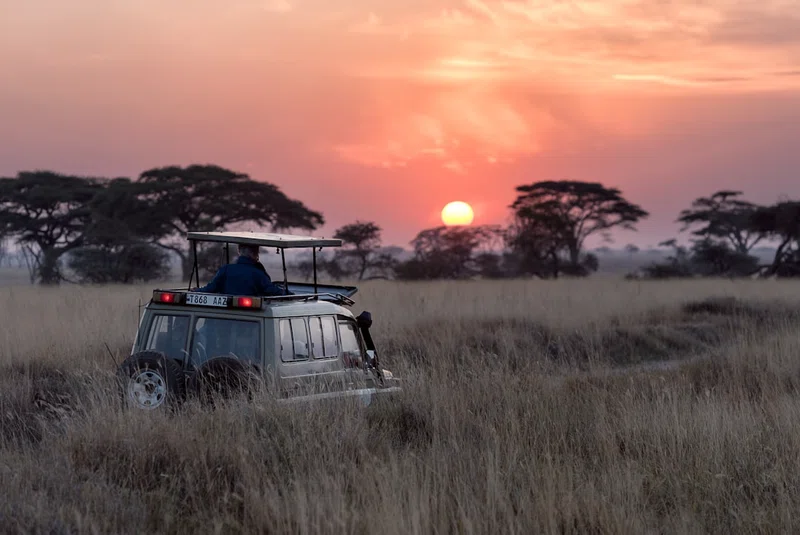 Tanzania 2