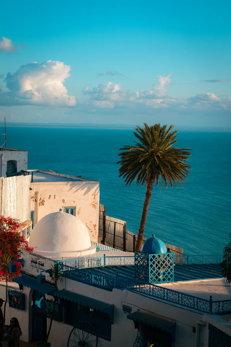 Tunisia 4